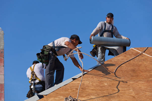 Roof Gutter Cleaning in Pendleton, SC